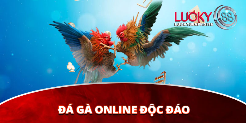 đá gà online độc đáo