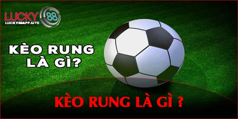 Trả lời câu hỏi kèo rung là gì của hội viên