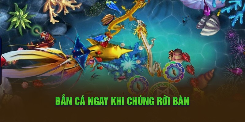 Bắn cá ngay khi chúng rời bàn