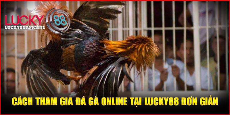 Cách tham gia đá gà online tại Lucky88 đơn giản