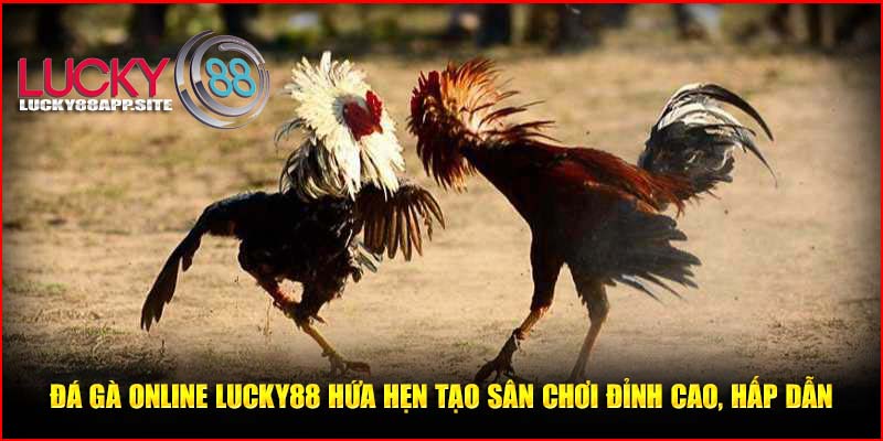 Đá gà Online Lucky88 hứa hẹn tạo sân chơi đỉnh cao, hấp dẫn