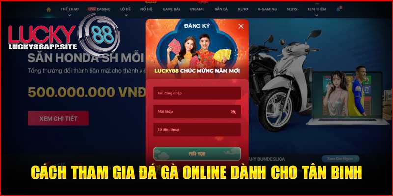 Chi tiết cách tham gia đá gà tại Lucky88 dành cho mọi tân binh 