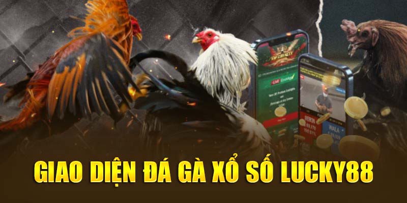 Đá gà xổ số tại Lucky88 sở hữu phần giao diện ấn tượng