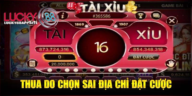 Tại sao chơi tài xỉu online luôn thua do chọn sai địa chỉ đặt cược