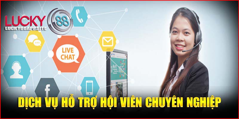 Dịch vụ hỗ trợ hội viên chuyên nghiệp luôn được đánh giá 5 sao