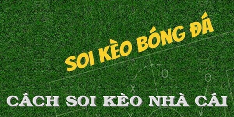 Sơ lược về soi kèo Kubet77